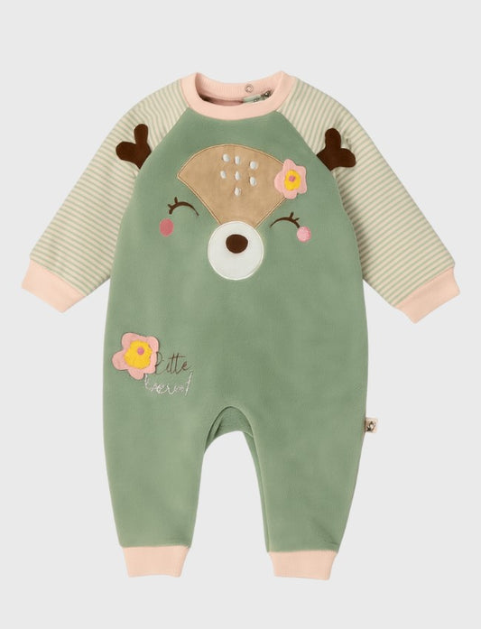 سالوبيت  حديثي ولاده شتوي فاني باني