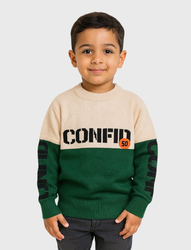 بلوفر ولادي  تريكو قصة عادية برقبة مستديرة للعيد